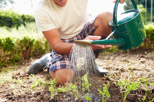 Tidy green lawn in Custom House prepared with regular mowing