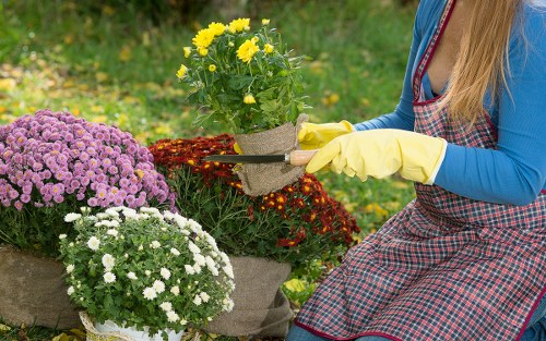 Charitable reuse of garden items and materials during clearance work