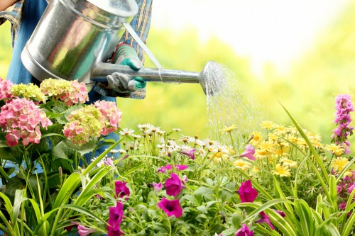 Professional Custom House grass care with mowing and feeding
