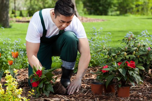 Commercial garden maintenance services in Custom House