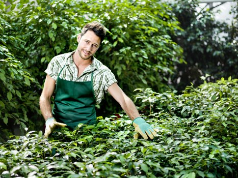 Professional gardeners in Custom House improving a residential garden