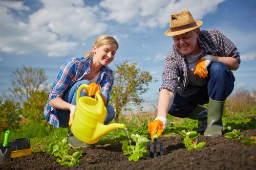 Responsible disposal of garden waste after clearance