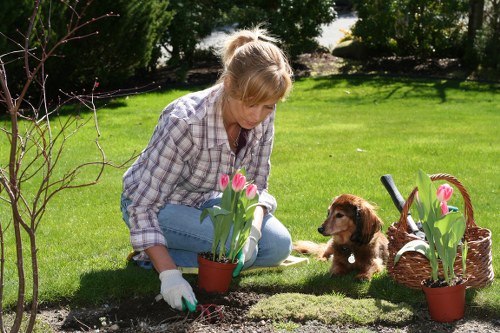 Final resolution step in a gardener complaints procedure