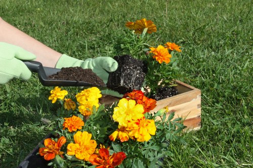 Custom House garden maintenance showing hedge trimming and plant care