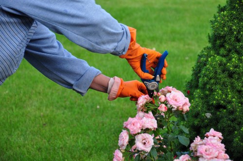 Weed control and border upkeep in a Custom House garden