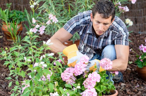 Professional grass cutting service for a local Custom House garden