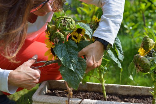 Transparent pricing and example garden jobs in Custom House