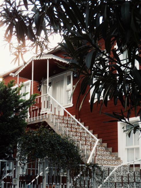 Avoid hidden fees when hiring gardeners in Custom House